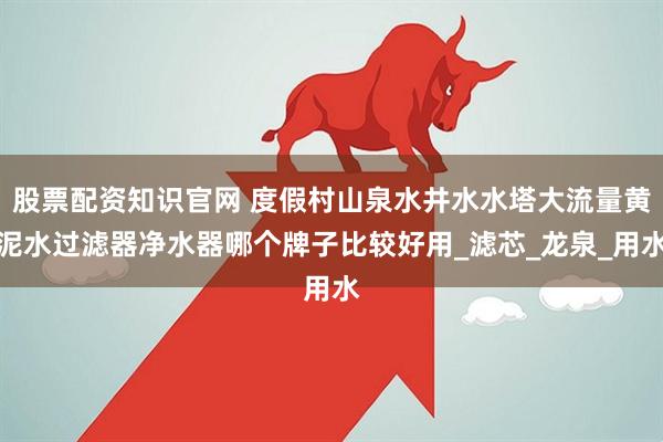 股票配资知识官网 度假村山泉水井水水塔大流量黄泥水过滤器净水器哪个牌子比较好用_滤芯_龙泉_用水
