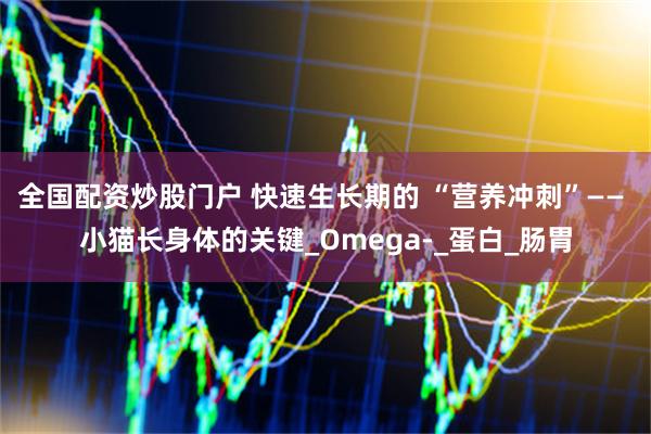 全国配资炒股门户 快速生长期的 “营养冲刺”—— 小猫长身体的关键_Omega-_蛋白_肠胃